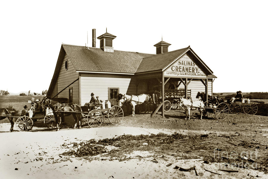 San Francisco Photograph - Salinas Creamery circa 1905, by Monterey County Historical Society