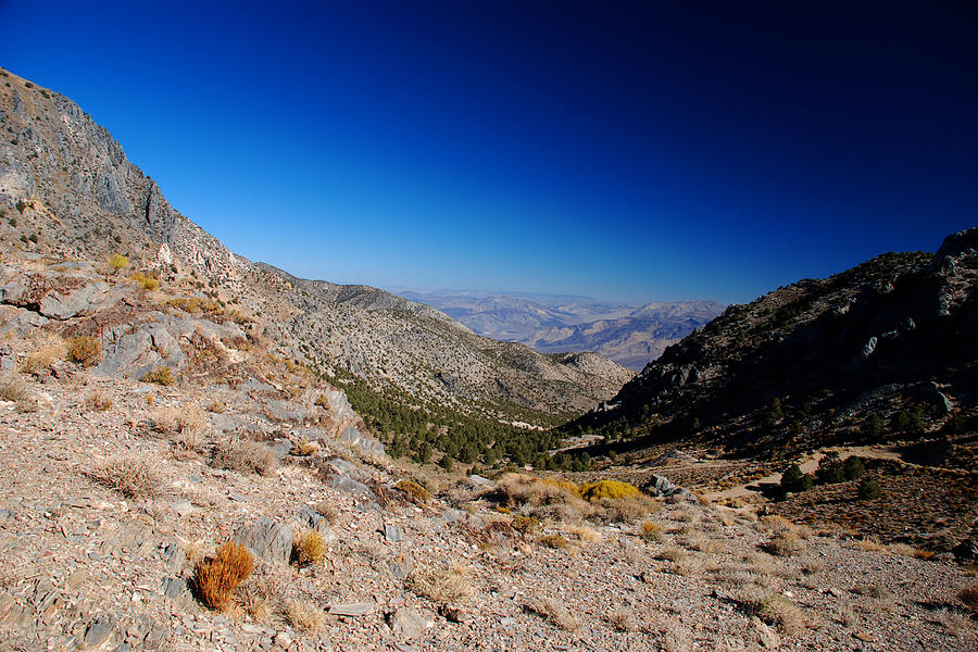 Saline Valley frm Cerro Gordo Pass Inyo Mountains Photograph by Brian Lockett