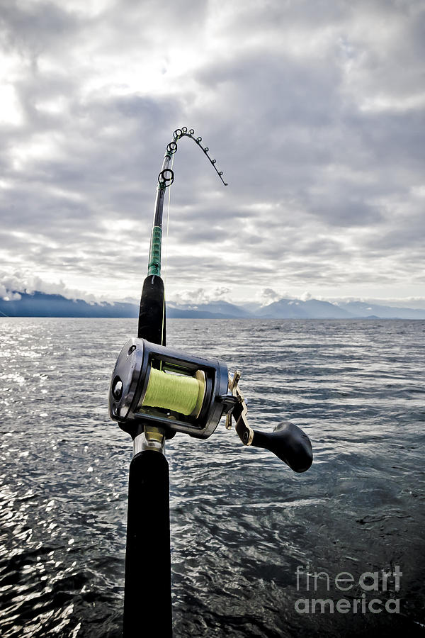 Salmon Fishing Rod Photograph by Darcy Michaelchuk