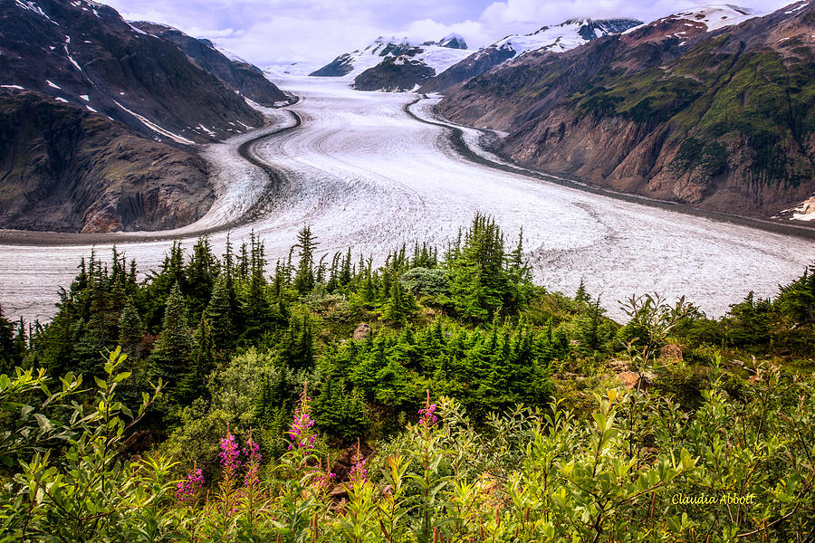 Salmon Glacier Photograph by Claudia Abbott