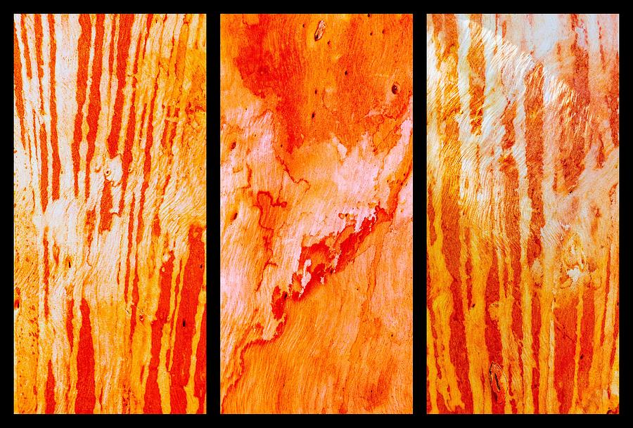 Salmon Gum Tree Bark Triptych #4 Photograph by Lexa Harpell