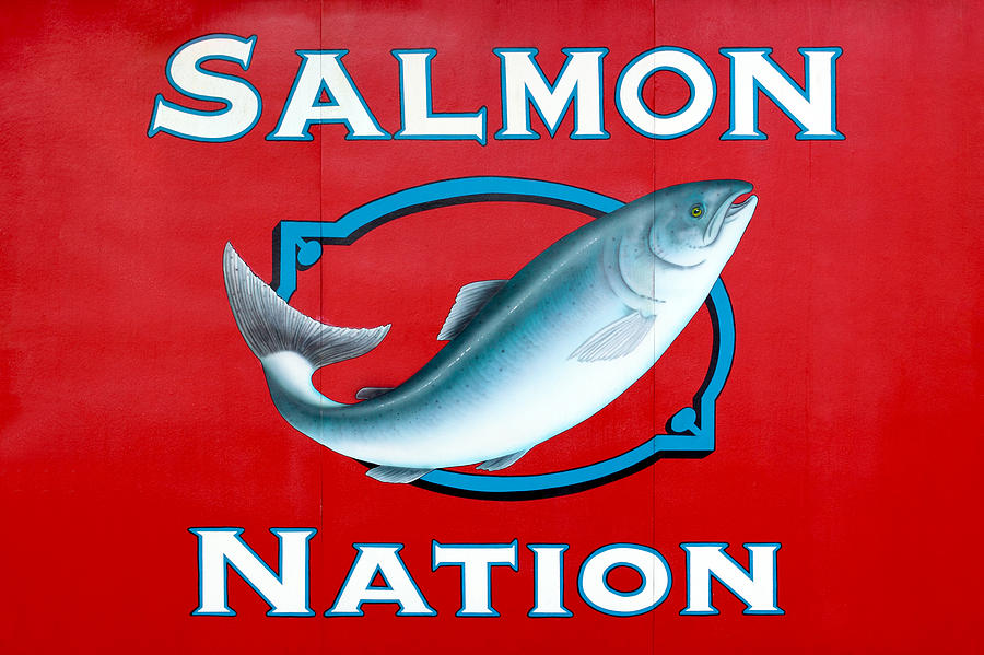 Salmon Nation Photograph by Todd Klassy
