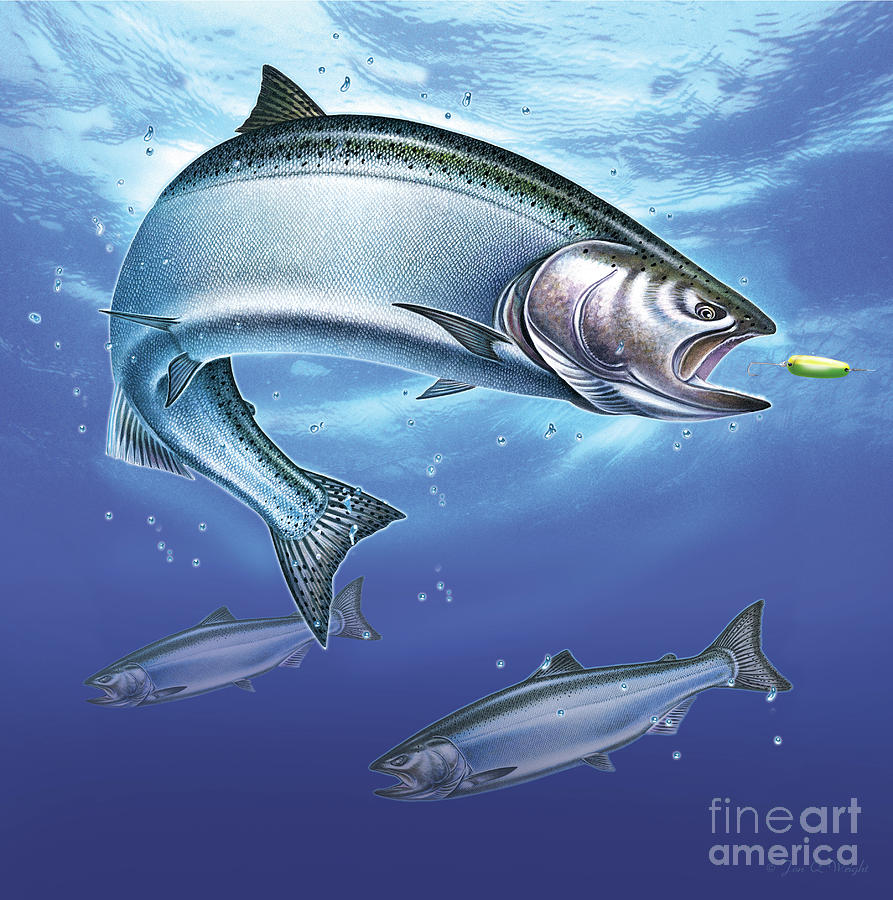 Salmon Painting Painting by Jon Wright - Fine Art America
