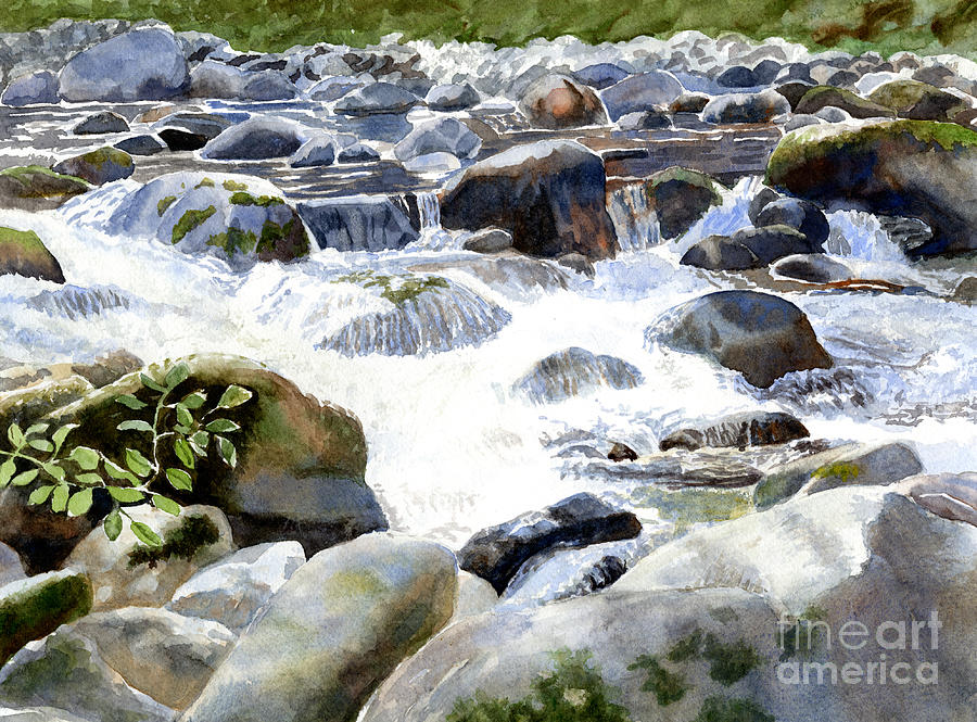 Salmon River Falls and Rocks Painting by Sharon Freeman