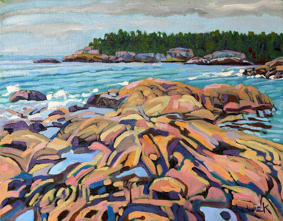 Salmon Rocks Painting by Phil Chadwick