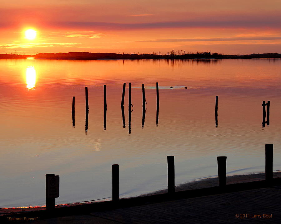 Salmon Sunset Photograph by Larry Beat