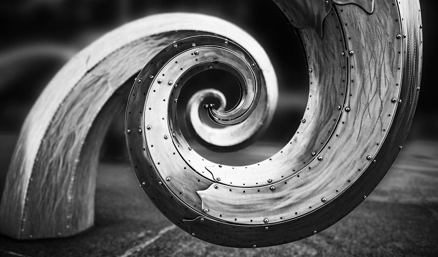 Salmon Waves Black and White Photograph by Pelo Blanco Photo