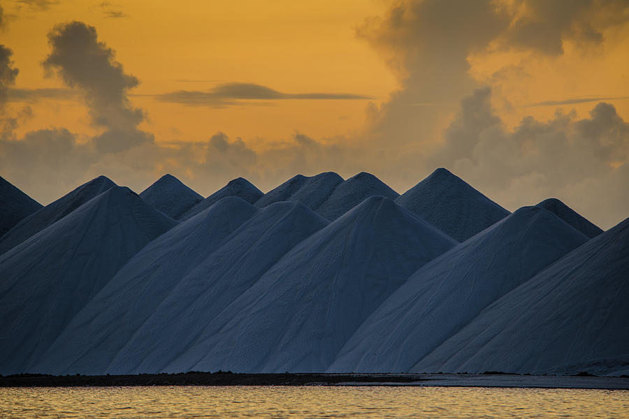 Salt #2 Photograph by Mark Rogers Salt #2 Photograph by Mark Rogers