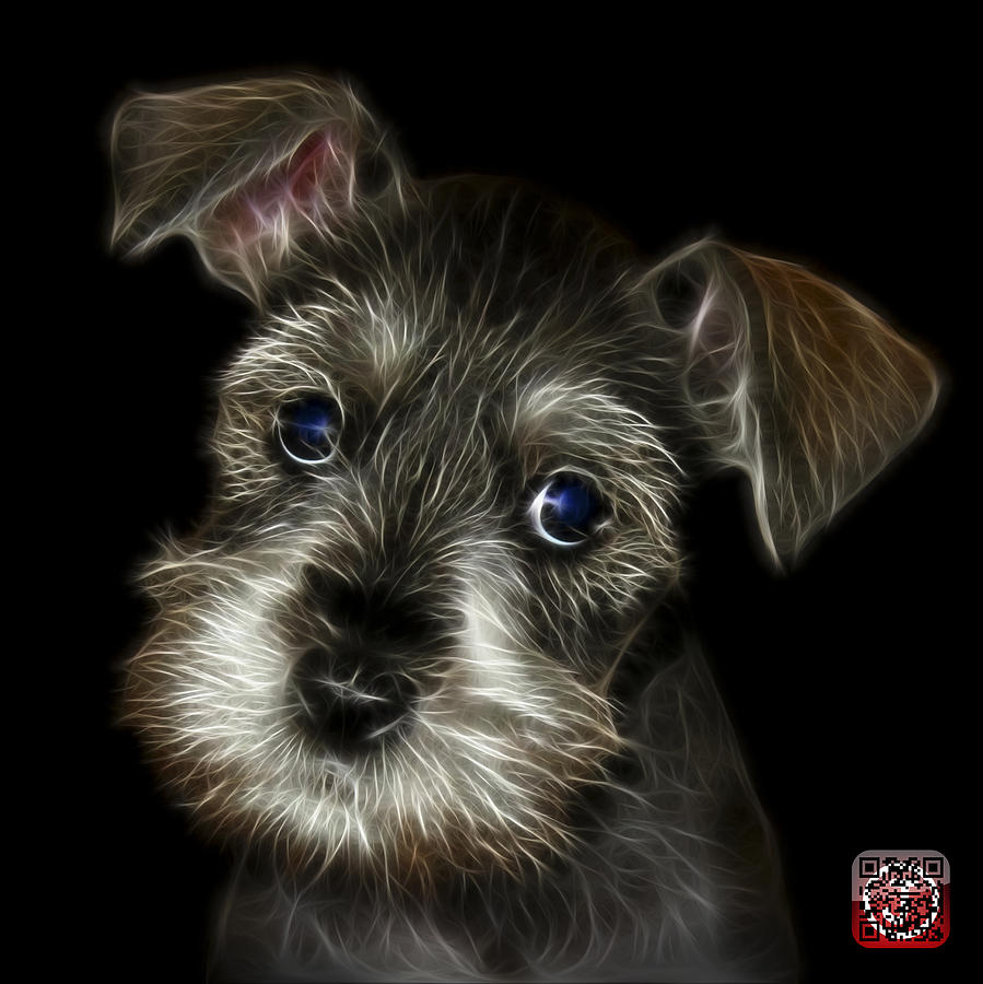 Salt and Pepper Schnauzer Puppy 7206 F Painting by James Ahn