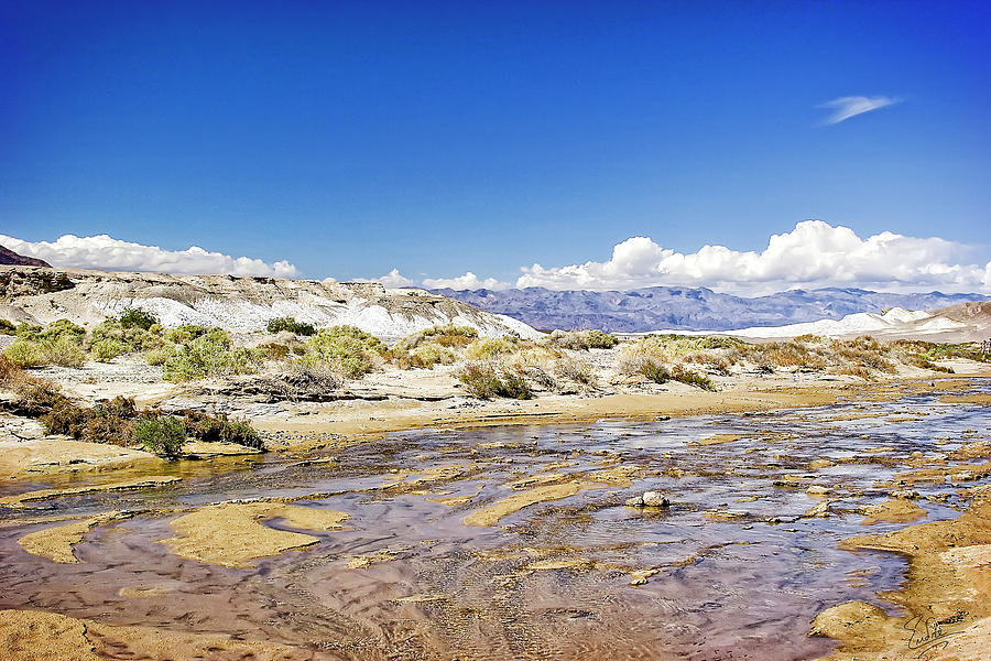 Salt Creek - Death Valley Photograph by Endre Balogh