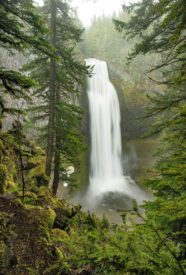 Waterfall Photograph - Salt Creek Falls by Gordon Ripley