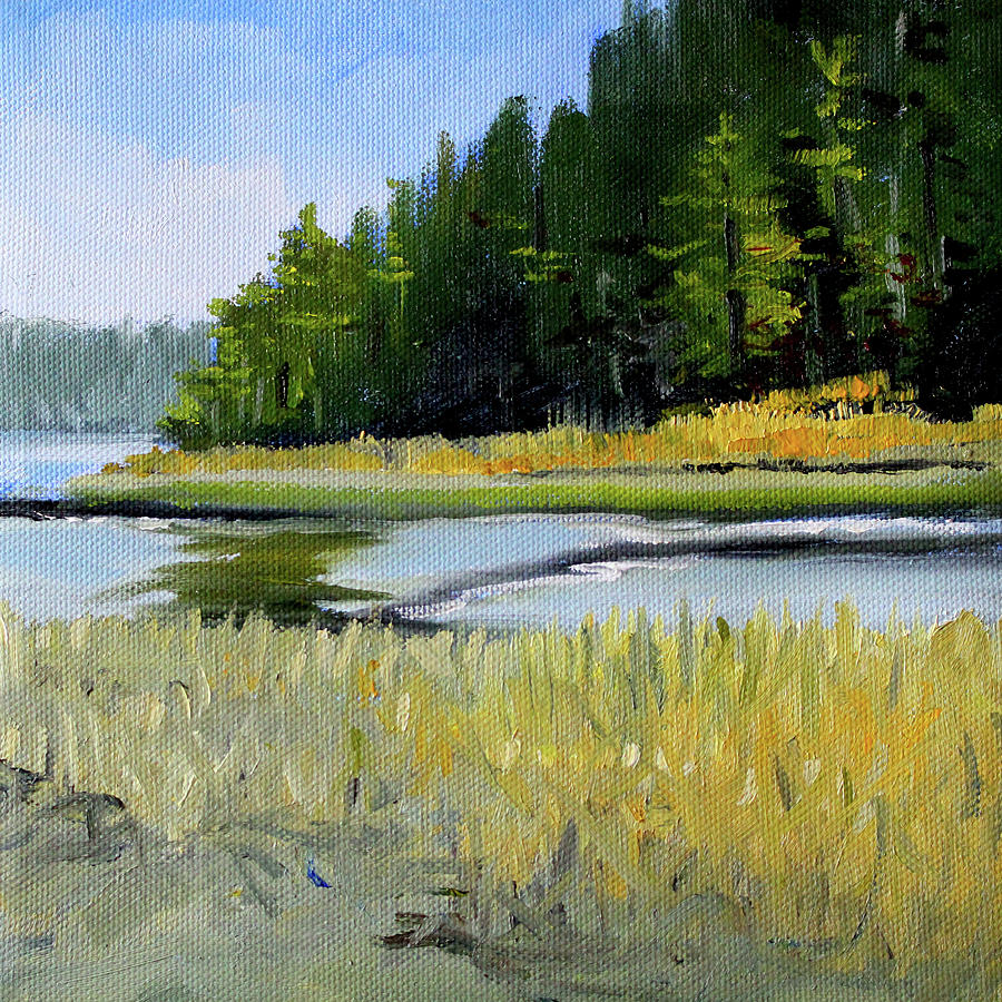 Salt Creek Painting by Nancy Merkle