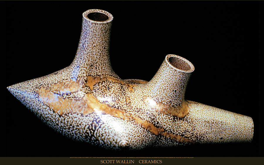 Porcelain Ceramic Art - Sculptural Form salt fired  by Scott Wallin