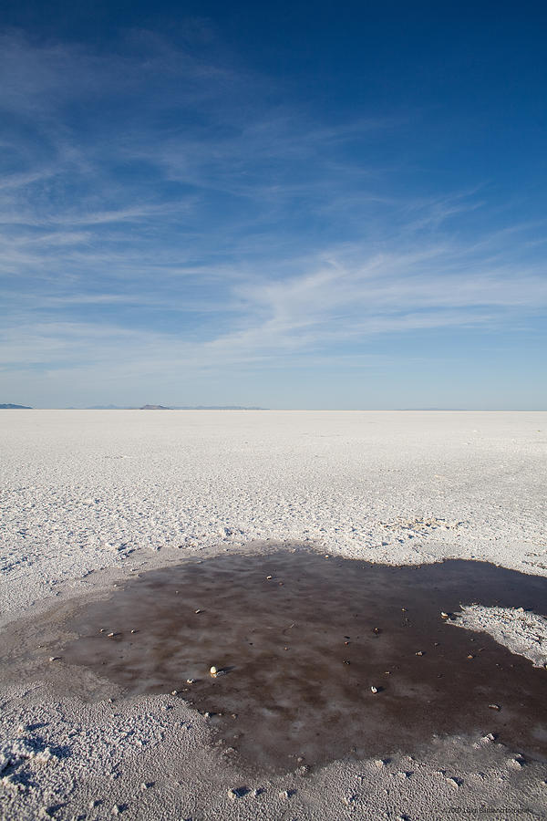 Salt Lake City Photograph - Salt Flats by Luigi Barbano BARBANO LLC