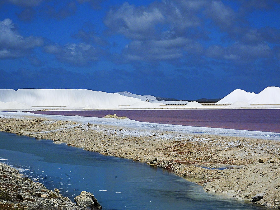 Salt Flats of Bonaire Photograph by Bill Barber