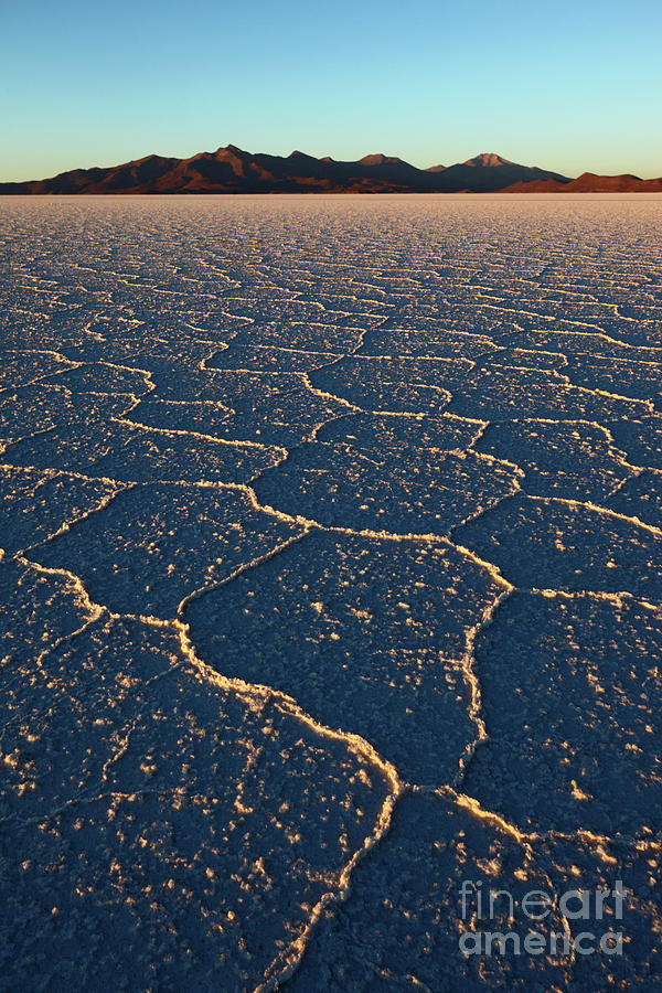 Salt Hexagons at Sunrise on Salar de Uyuni Bolivia Photograph by James Brunker