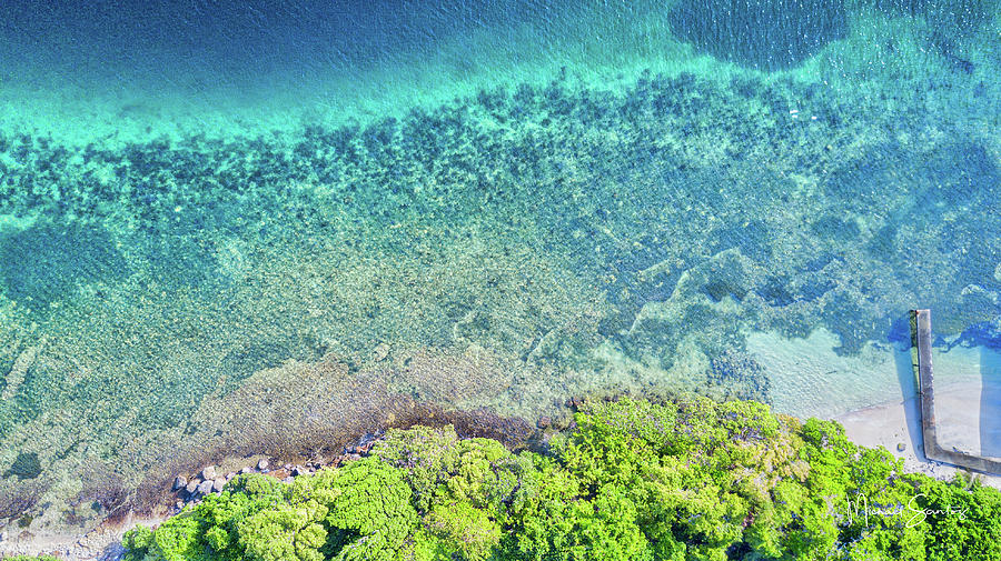 Samana Photograph - Salt Life by Michael Santos Samana Photograph - Salt Life by Michael Santos