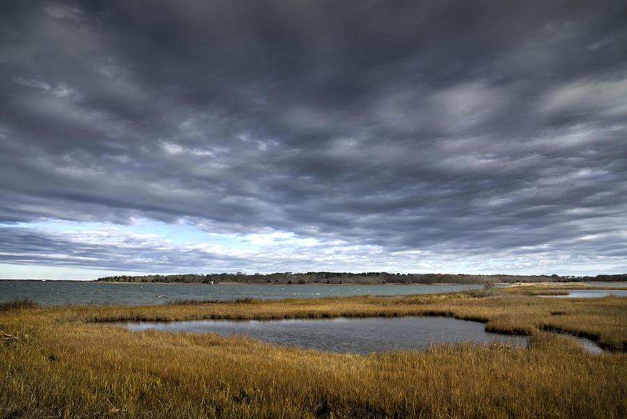 Salt Marsh, Cold Spring Pond Photograph by Steve Gravano