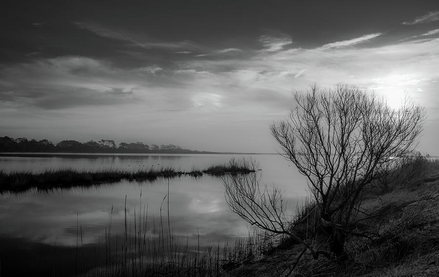 Salt Marsh, Early Morning Photograph by Steven Ainsworth