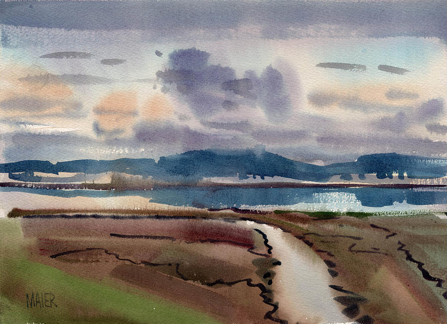Salt Marsh on San Francisco Bay Painting by Donald Maier