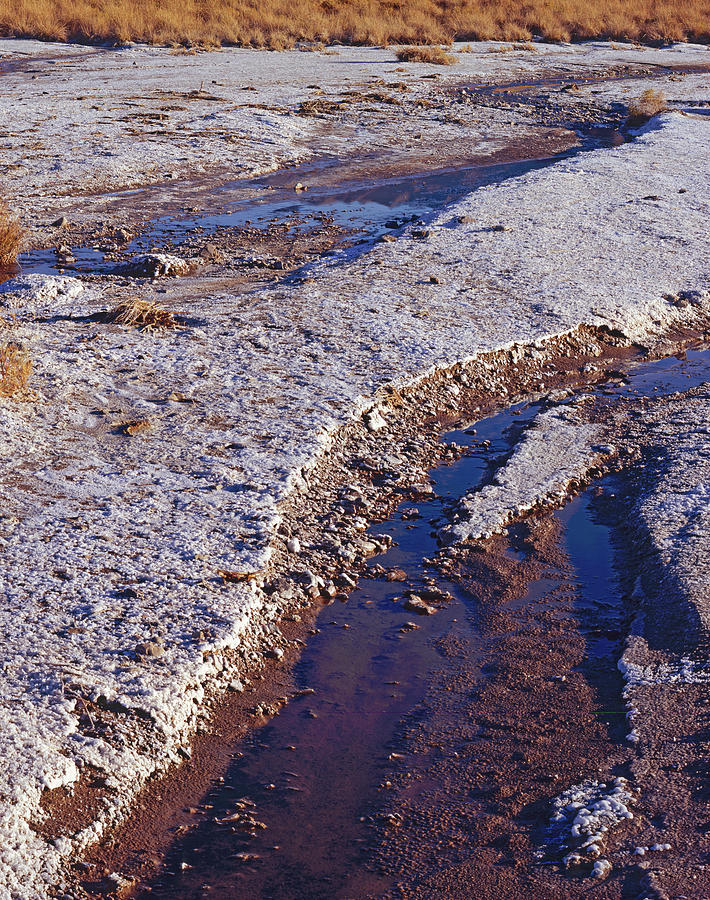 Salt Marsh Outflow Photograph by Tom Daniel