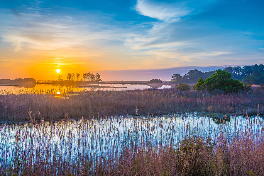 Nature Photograph - Salt Marsh Sunrise II by Steven Ainsworth