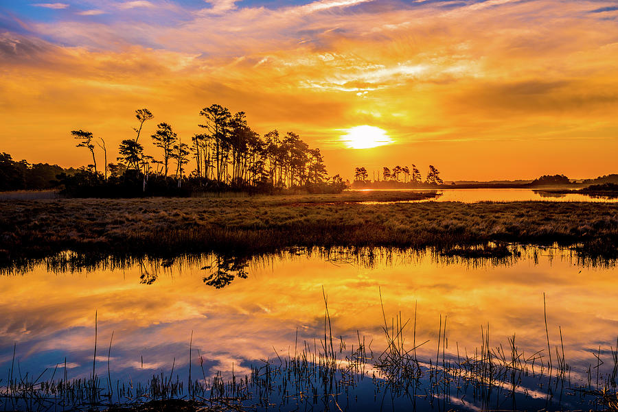 Salt Marsh Sunrise III Photograph by Steven Ainsworth