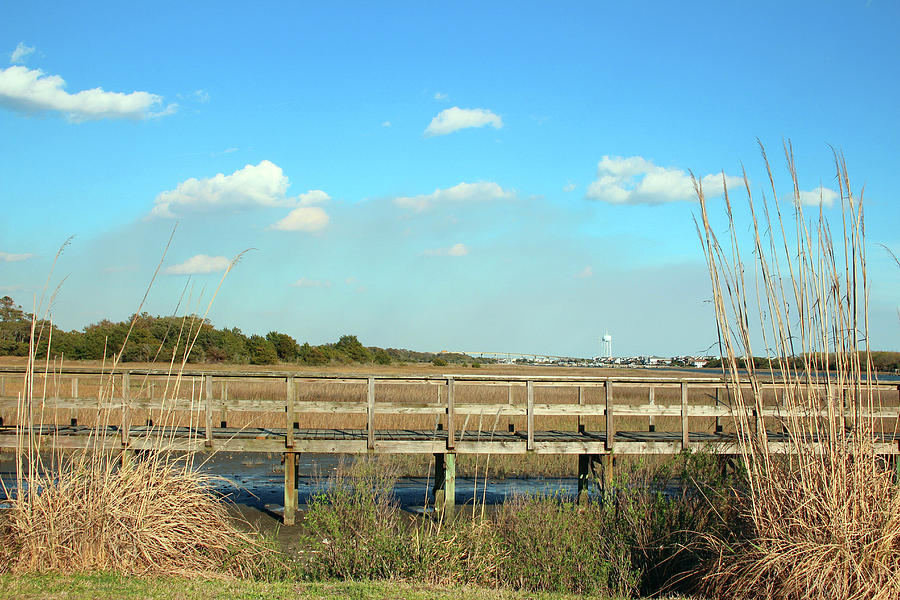 Salt Marsh View Photograph by Cynthia Guinn | Fine Art America