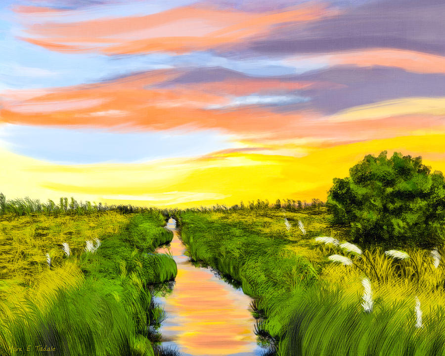 Salt Marshes At Dawn - Savannah Coast Digital Art by Mark Tisdale