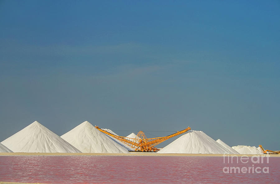 Salt pans Bonaire Photograph by Patricia Hofmeester