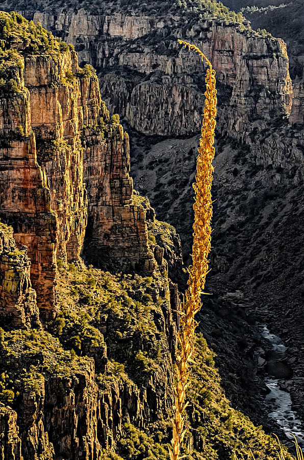 Mountain Photograph - Salt River Canyon No.30 by Mark Myhaver