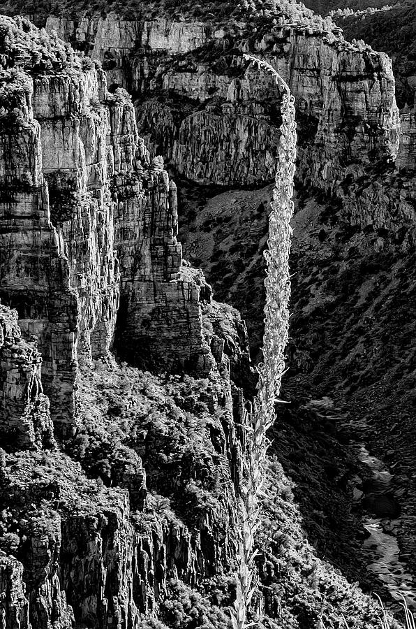 Salt River Canyon No.31 Photograph