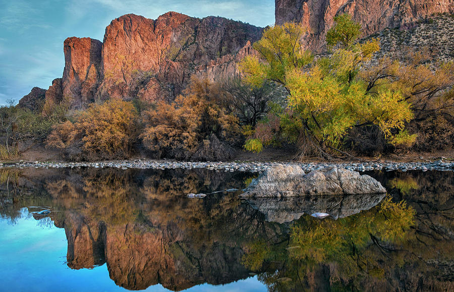 Salt River fall colors in Arizona Photograph by Dave Dilli