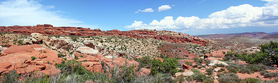 Salt Valley Arches National Park Panorama Photograph by Mary Bedy