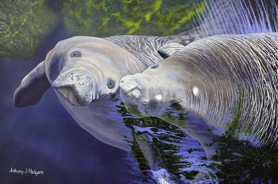 Salt Water Ballet - Manatees Painting by Anthony J Padgett