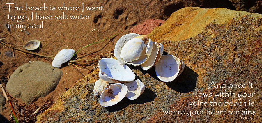 Salt Water In My Soul Photograph by Sue Long