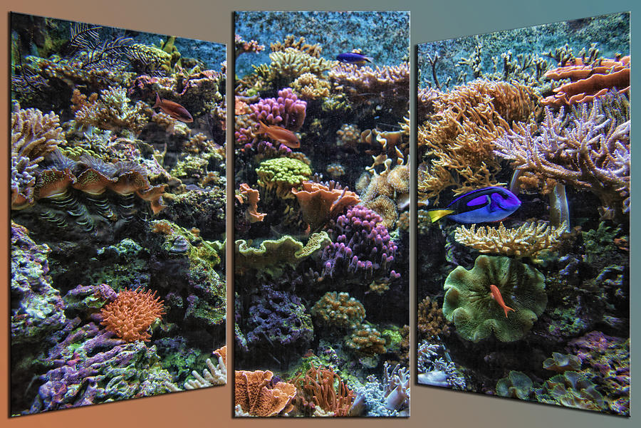 Salt Water Reef And Fish Triptych 3 Panel 01 Mixed Media by Thomas Woolworth