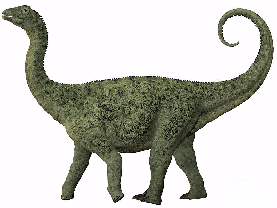 saltasaurus