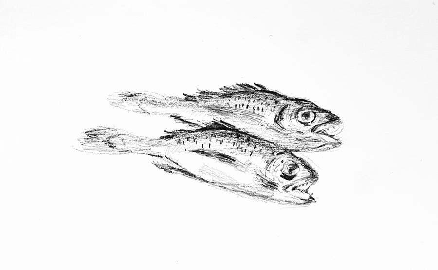 Salted fish Drawing by Hae Kim