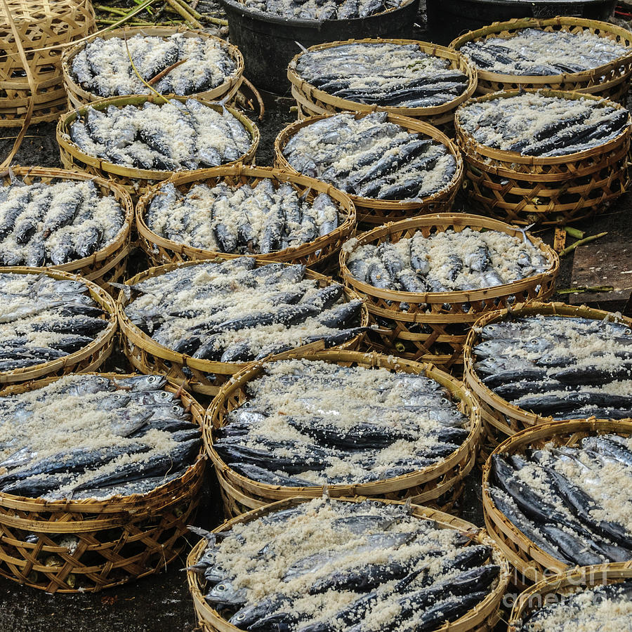 Salted Fish Photograph by Werner Padarin