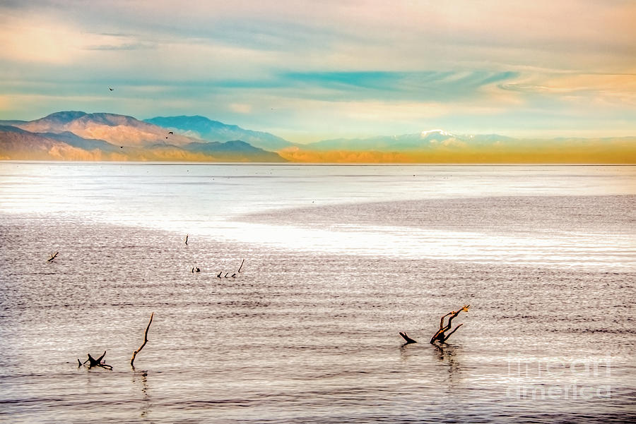 Nature Photograph - Salton Sea by Lisa Manifold