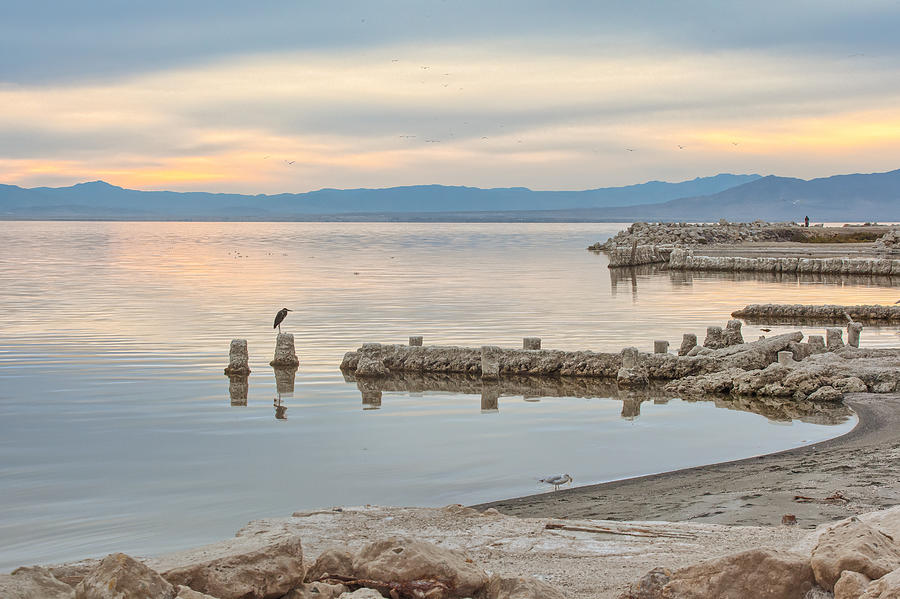 Salton Sea by Peter Dyke Salton Sea by Peter Dyke