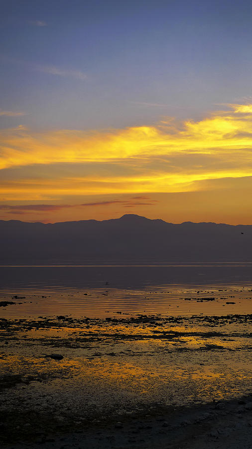 Salton Sea Photograph by Skip Hunt