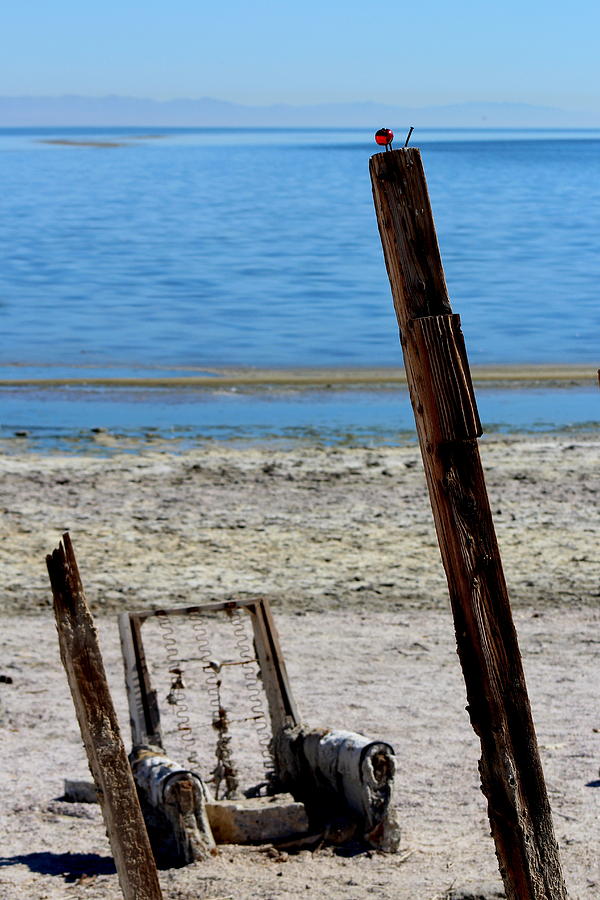 Salton Sea Still-life Photograph Photograph by Kimberly Walker