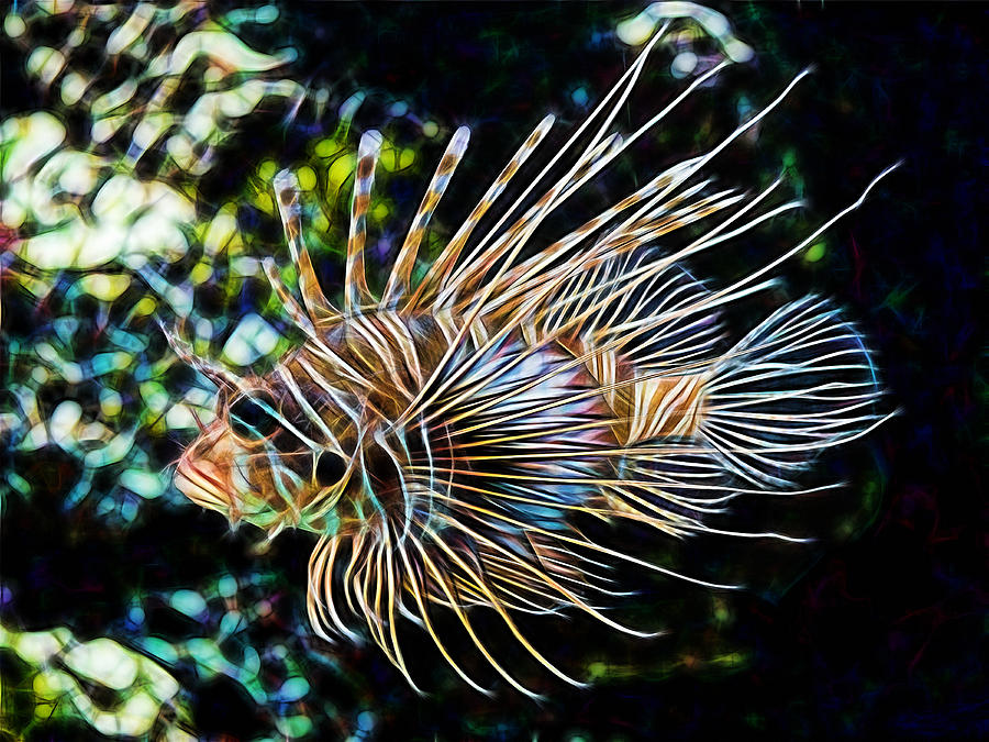 Saltwater LionFish Mixed Media by Marvin Blaine