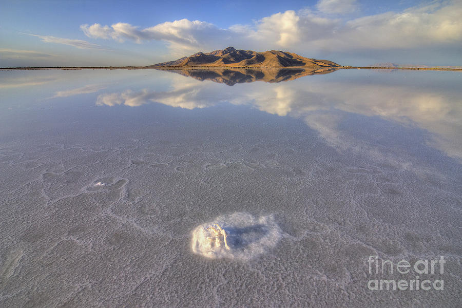 Salty Reflection Photograph by Spencer Baugh
