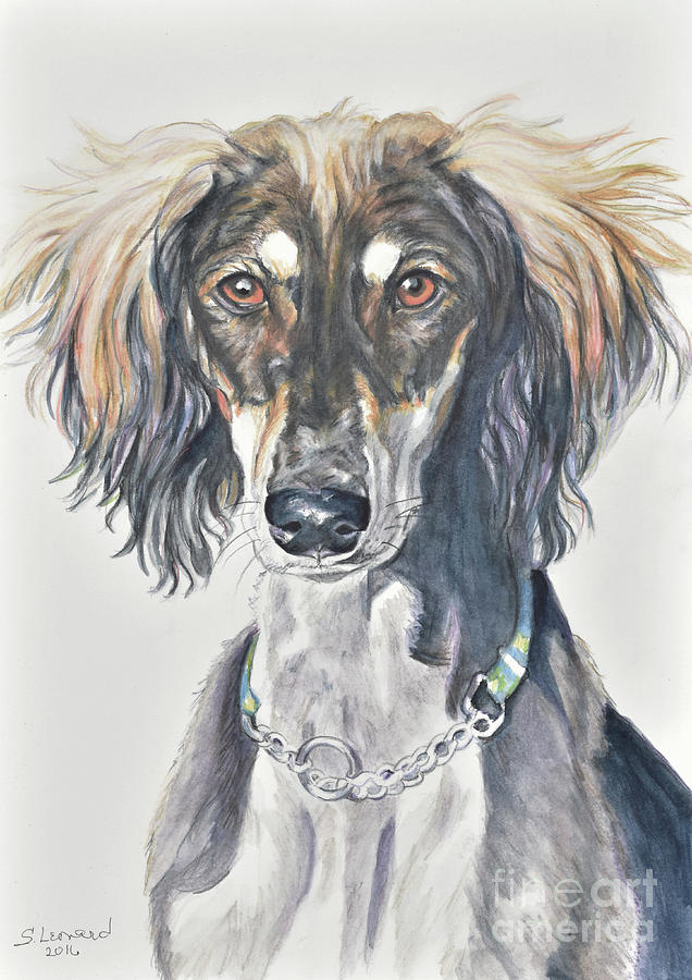 Saluki Painting - Saluki by Suzanne Leonard Saluki Painting - Saluki by Suzanne Leonard