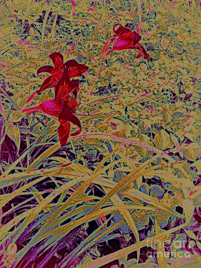 Salute to Day Lilies Digital Art by Nancy Kane Chapman