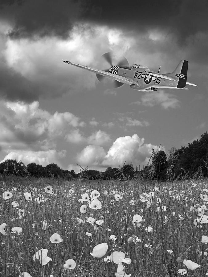 Salute To The Brave In Black And White - p-51 Flying Over Poppy Field Photograph by Gill Billington