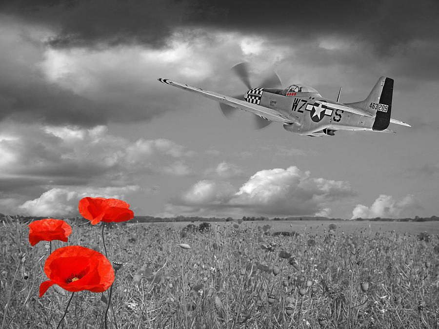 Salute To The Brave - p51 Flying Over Poppy Field 2 Photograph by Gill Billington